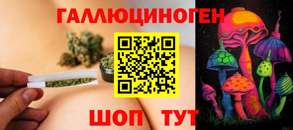 Галлюциногенные грибы GOLDEN TEACHER  Вход с VPN  Курск 