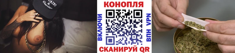 Конопля AK-47 купить цена Курск